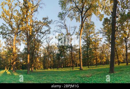 Uman, Ukraine - 10.13.2018. Temps d'automne étonnant à Sophia Park à Ouman, en Ukraine Banque D'Images