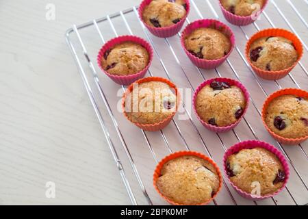 Petits gâteaux faits maison avec cherry, muffins sur une grille sur un tableau blanc. Banque D'Images