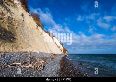 Côte de la mer Baltique sur l'île de Moen au Danemark. Banque D'Images