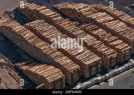 De grandes piles de grumes de bois, prêtes à être chargées, au port de Napier, depuis le belvédère de Bluff Hill, à Napier, dans la région de Hawke's Bay, Île du Nord, Nouvelle-Zélande Banque D'Images