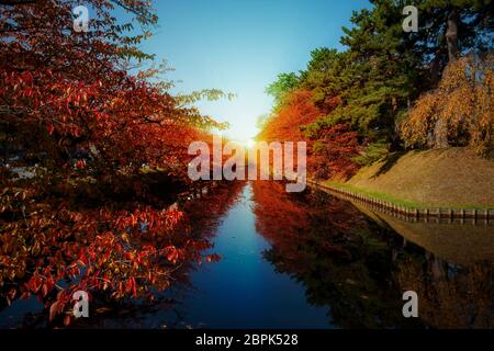 La Gorge de belle rivière Oirase druing la saison d'automne, le Japon Banque D'Images