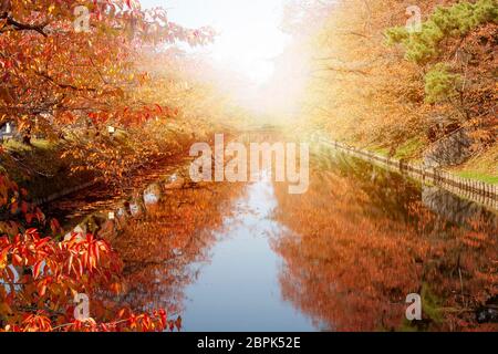 La Gorge de belle rivière Oirase druing la saison d'automne, le Japon Banque D'Images