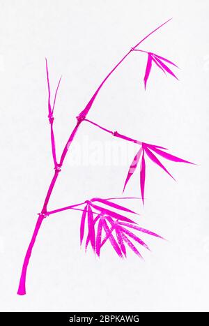 La formation en dessin sumi-e (suibokuga) style - brindille de bambou peint à l'aquarelle par pink sur papier blanc Banque D'Images
