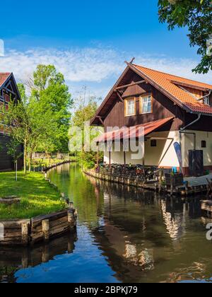 Paysage avec cottages dans la région de Spreewald, Allemagne. Banque D'Images