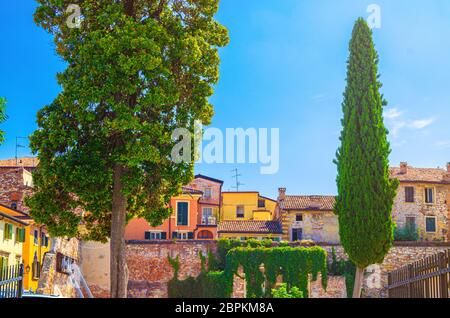 Maisons anciennes et colorées typiques et bâtiments traditionnels italiens multicolores avec toits de tuiles, cyprès dans le centre historique de Vérone Citta Antica, région de Vénétie, Italie du Nord Banque D'Images