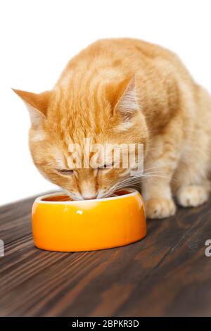 Le chat rouge mange des aliments dans un bol orange Banque D'Images