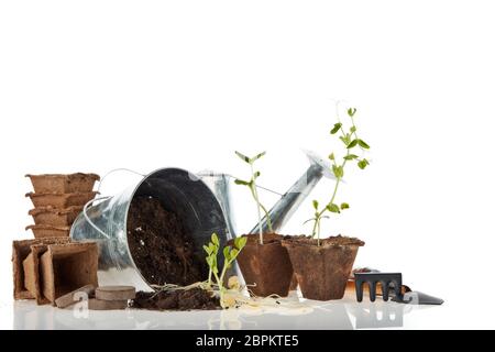 La vie est encore avec des outils de jardinage, des tablettes et des pots de tourbe et de jeunes plants isolés sur fond blanc avec espace de copie. Concept de jardinage de printemps Banque D'Images