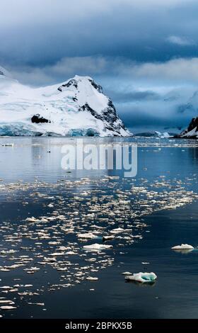 Matin immaculé, frais et calme à Icy Neko Harbour, Antarctique Banque D'Images