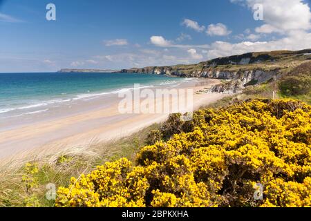 Port de Portrush, Irlande du Nord. Banque D'Images