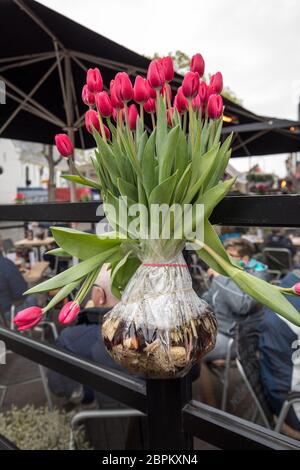 Un bouquet de tulipes rouges enveloppés de papier aluminium avec ampoules visibles Banque D'Images