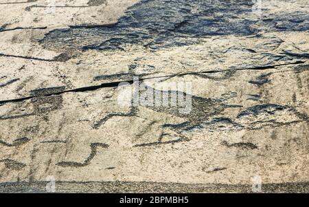 Fragment de pétroglyphes d'Onega sur la rive en granit du lac. Âge des gravures rupestres préhistoriques - 5000-6000 ans. Cap Besov nos, République de Kare Banque D'Images