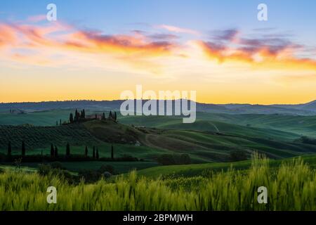 Paysage de Toscane dans le lever du soleil et de collines verdoyantes des champs . Italie Banque D'Images