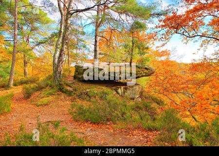Altschlossfelsen rock à Dahn Rockland en automne, Allemagne Banque D'Images