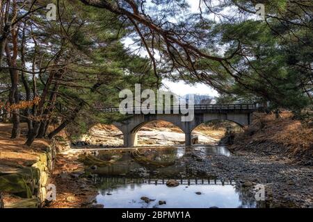 Un petit pont sur l'eau du ruisseau dans une forêt de pins sur la route de mupunghansong gil près de l'entrée du temple de Tongdosa en Corée du Sud. Pris dans le Banque D'Images