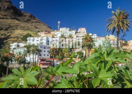 Maisons à flanc dans la Valle Gran Rey sur l'île de La Gomera, Îles Canaries, Espagne Banque D'Images