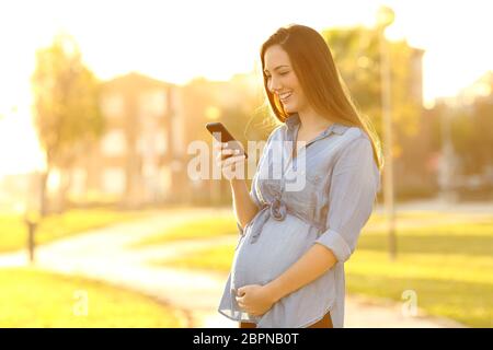 Portrait d'une femme enceinte à l'aide d'un smart phone debout dans un parc au coucher du soleil Banque D'Images