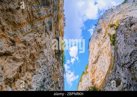 Gorge de Trigrad, montagnes Rhodope dans le sud de la Bulgarie, Europe du Sud-est Banque D'Images