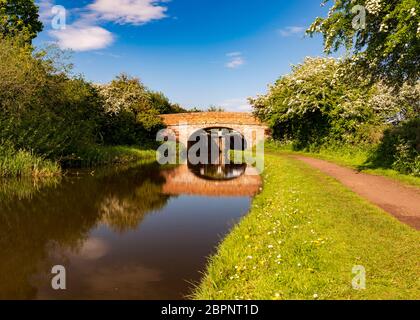 Worcester & Birmingham Canal pendant une journée d'été près de Tardebigge Bromsgrove Banque D'Images