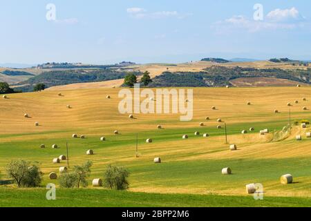 Paysage de collines de la Toscane, Italie. Panorama italien rural. Banque D'Images