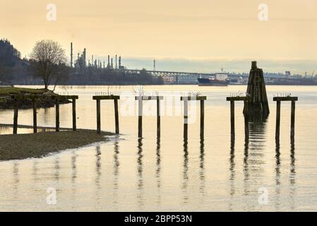 Pétrolier et raffinerie de Burrard Inlet. Raffinerie de pétrole et réservoir à Burrard Inlet. Vancouver, Colombie-Britannique, Canada. Banque D'Images