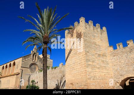 Porta del Moll, porte principale de la vieille ville d'Alcudia, Majorque, Iles Baléares, Espagne Banque D'Images