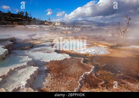 WY04430-00....WYOMING - formations de travertin sous Grass Spring aux sources thermales Mammoth dans le parc national de Yellowstone. Banque D'Images