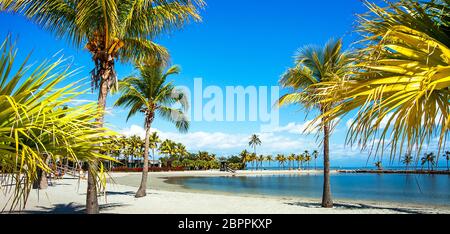 La plage ronde à Matheson Hammock Park Comté Miami Floride Banque D'Images