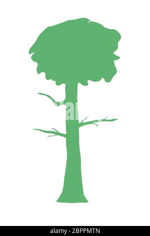 Vecteur de silhouette d'arbre. Arbre isolé dessiné à la main. Illustration de Vecteur