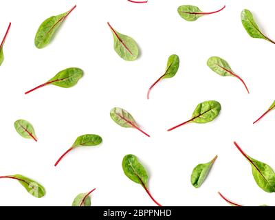 Configuration des feuilles de bette à carde verte fraîche ou mangold salade sur fond blanc. Télévision laïcs ou Vue de dessus des feuilles de betterave bébé, motif isolé sur whit Banque D'Images