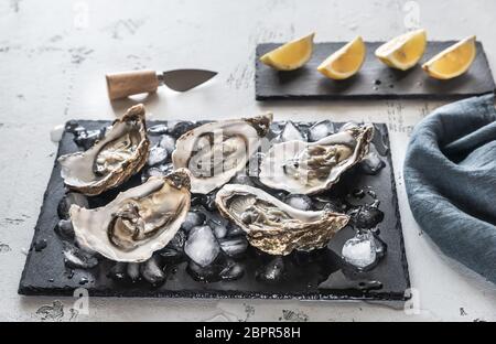 Les huîtres crues sur le conseil d'ardoise close-up Banque D'Images