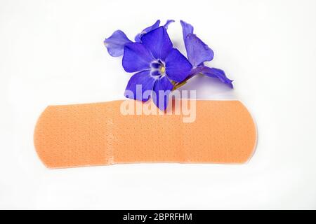 bande de bandage rapprochée sur les fleurs myrte violets isolées sur blanc Banque D'Images