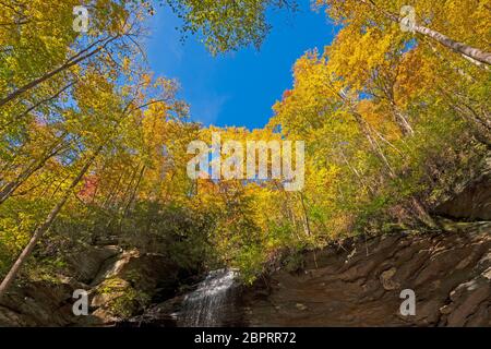 Automne couleurs sur le sommet de Cliff au-dessus des chutes de Moore Cove dans la forêt nationale de Pisgah en Caroline du Nord Banque D'Images