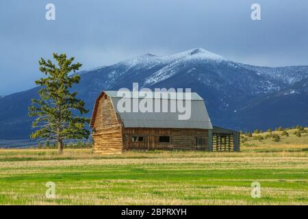 ancienne grange en bois sous le mont baldy près de townsend, montana Banque D'Images