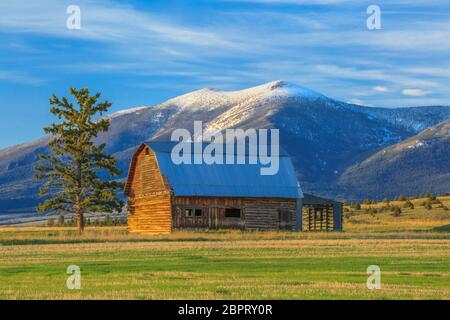 ancienne grange en bois sous le mont baldy près de townsend, montana Banque D'Images