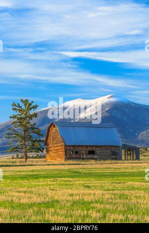 ancienne grange en bois sous le mont baldy près de townsend, montana Banque D'Images