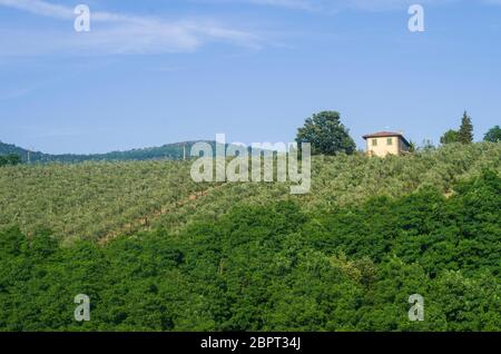 Toscane verdoyante avec vignes, oliviers, bois, de fermes et de la ville sous le ciel bleu Banque D'Images