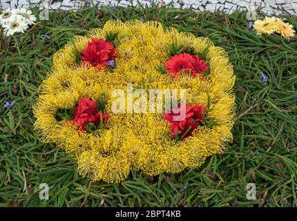 Fête des Fleurs - le fameux tapis à motifs floraux dans le centre-ville de Funchal, le long de la promenade centrale de l'Avenida Arriaga. Madère. Portugal Banque D'Images