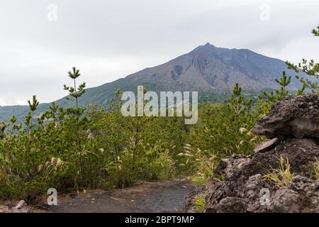 Sakurajima au japon Banque D'Images