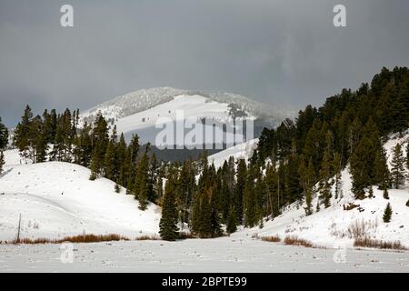 WY04477-00....WYOMING - vue sur la montagne de Sepulcher depuis le sentier de la boucle Snow Pass à Gardners Hole dans le parc national de Yellowstone. Banque D'Images