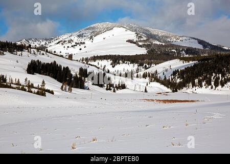 WY04479-00....WYOMING - vue sur la montagne de Sepulcher depuis la piste de ski Snow Pass Loop à Gardners Hole dans le parc national de Yellowstone. Banque D'Images