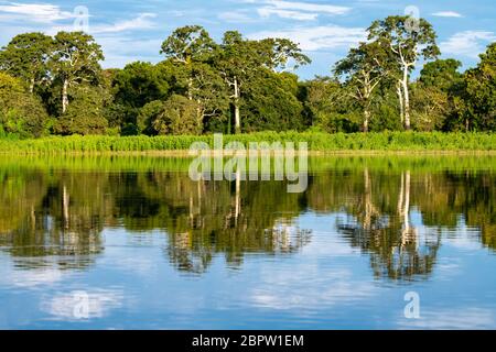 Rivière Amazonie péruvienne avec réflexion dans l'eau Banque D'Images