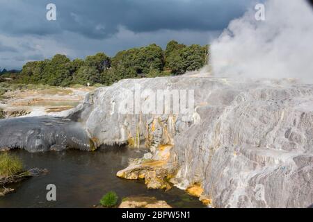 Vue rapprochée de Pohutu geyser, dans la vallée thermale de Whakarewarewa, te Puia, Rotorua, île du nord, Nouvelle-Zélande Banque D'Images