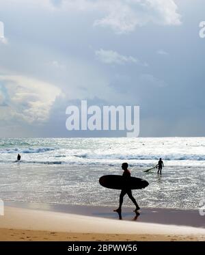 Surfer avec une planche de surf sur la plage, silhouette. Algarve, Portugal Banque D'Images