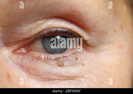 Charmante femme et photo du visage Banque D'Images