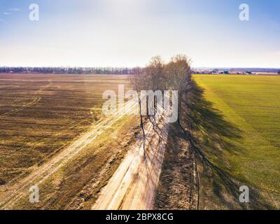 Vert printemps et marron des champs agricoles. La saleté de la route rurale et birch alley. Les cultures d'hiver et champ labouré. Campagne de printemps paysage aérien. Belar Banque D'Images