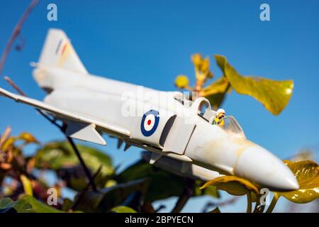 Airfix modèle plastique Phantom F4 avion de chasse dans une haie de jardin Banque D'Images