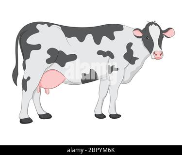 Image vectorielle de la vache dessinée à la main sur fond blanc. Isolez l'image de l'arrière-plan et utilisez pour les enfants l'alphabet d'apprentissage livre. Apprentissage de l'alphabet C. Banque D'Images