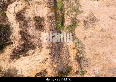 Vue aérienne par drone des opérons forestiers et de la déforestation active d'une forêt tropicale contribuant à la destruction de l'habitat et du climat artificiel chan Banque D'Images