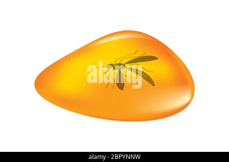 Insectes dans une goutte d'ambre isolé sur fond blanc. Inclusion ancienne de la cale ambre. Pièce d'ambre avec un moustique préhistorique à l'intérieur.vecteur de stock Illustration de Vecteur