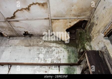 Plafond endommagé à partir de la fuite d'eau dans la vieille maison abandonnée close-up Banque D'Images